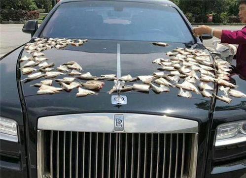 娱乐吃瓜酱大妈栏车